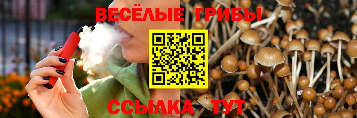 продажа наркотиков  Вход с VPN  Заринск  Псилоцибиновые грибы Cubensis 